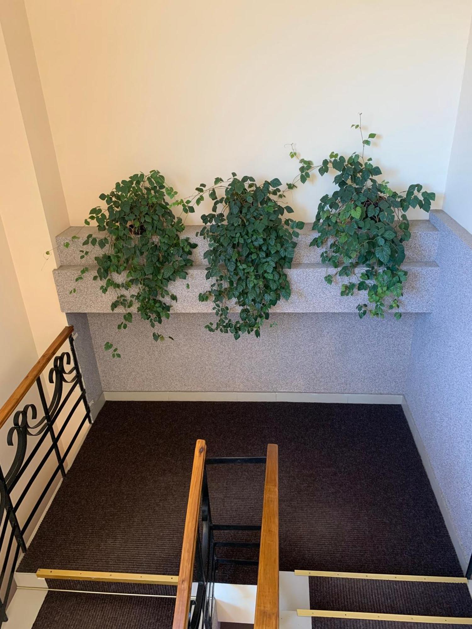 Hostel Iskra Lviv Buitenkant foto